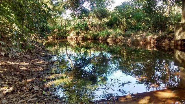 Chácara/Sítio à venda em Pedra Branca, Cachoeiras de Macacu - RJ