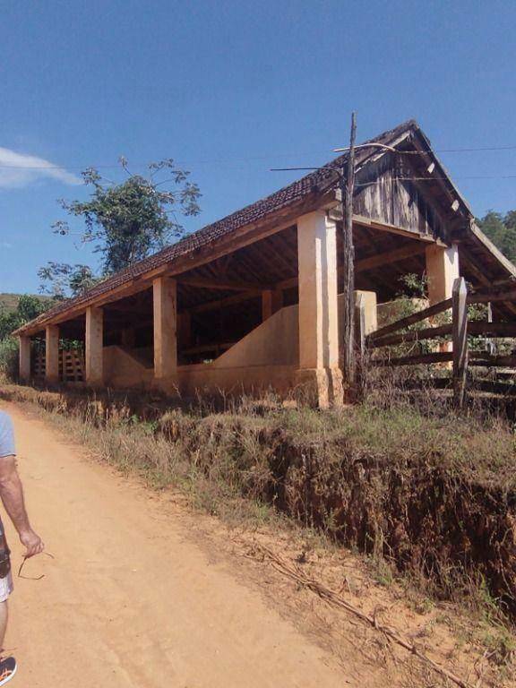 Fazenda à venda em Leopoldina, Leopoldina - MG