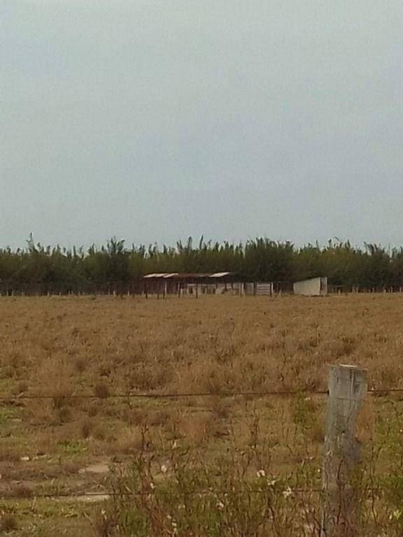 Fazenda à venda em Zona Rural, Quissamã - RJ