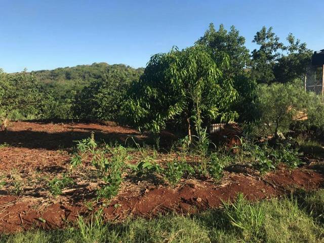 Chácara/Sítio à venda em Ribeirao Aquidaba, Sarandi - PR