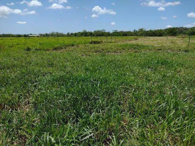 Fazenda à venda em Mato Alto, Silva Jardim - RJ