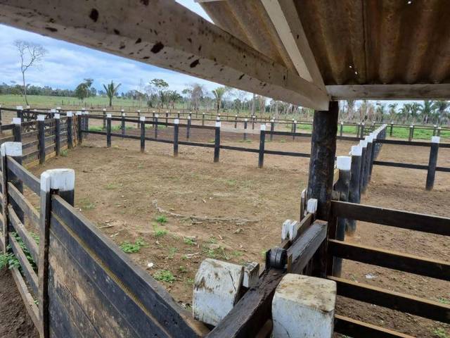 Fazenda à venda em Zona Rural, Campos Altos - MG