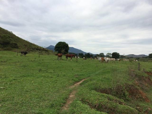 Fazenda à venda em Reginópolis, Silva Jardim - RJ