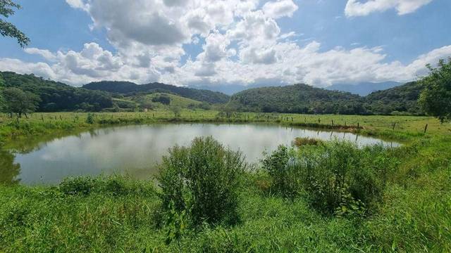 Fazenda à venda em Imbau, Silva Jardim - RJ