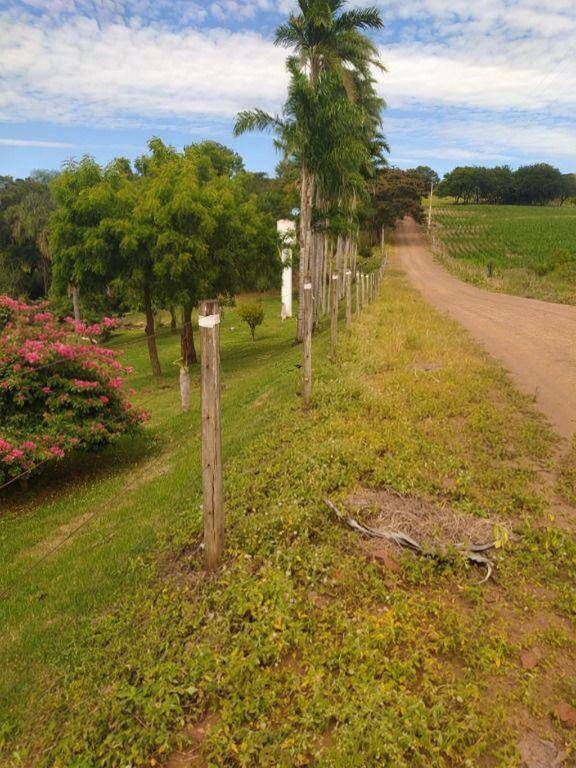 Chácara/Sítio à venda em Gleba Ribeirão Maringá, Maringá - PR