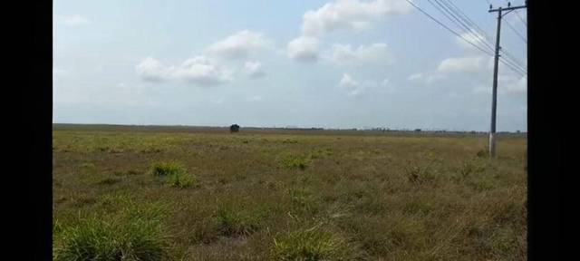 Fazenda à venda em Zona Rural, Quissamã - RJ