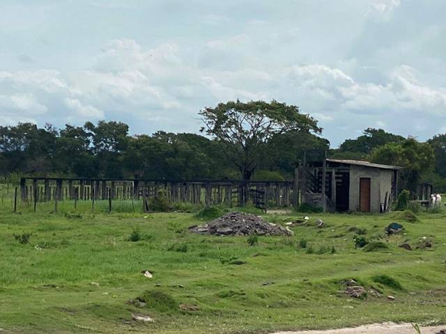 Fazenda à venda em Casimiro de Abreu, Casimiro de Abreu - RJ