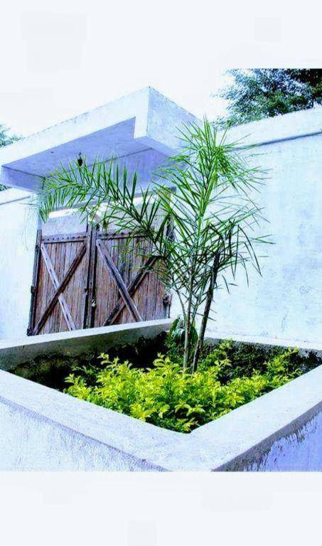 Chácara/Sítio à venda em Reginópolis, Silva Jardim - RJ