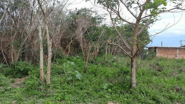 Terreno à venda em Jaconé, Saquarema - RJ