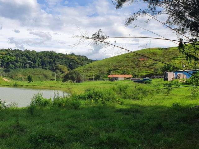 Fazenda à venda em Parque Ribeira, Cachoeiras de Macacu - RJ
