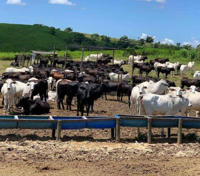 Fazenda à venda em Fazendinha, Araruama - RJ
