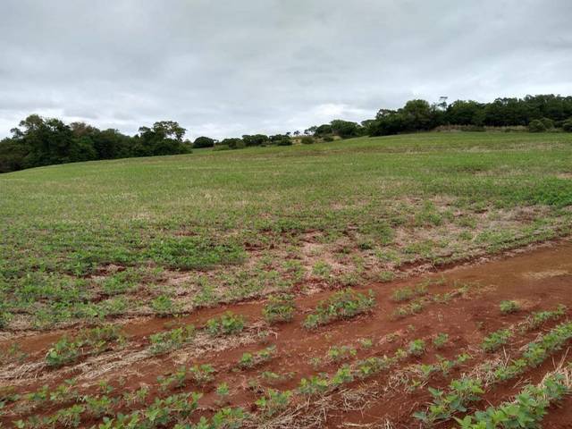 Chácara/Sítio à venda em Ribeirao Aquidaba, Sarandi - PR