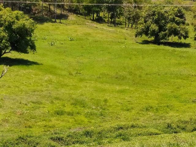 Fazenda à venda em São Félix, Santo Antônio de Pádua - RJ