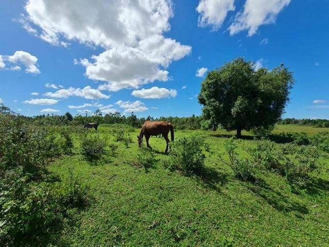 Fazenda à venda em Fazendinha, Araruama - RJ