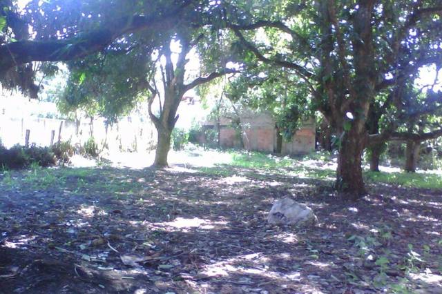 Chácara/Sítio à venda em Várzea das Moças, Niterói - RJ