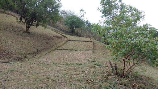 Terreno à venda em Matapaca, Niterói - RJ
