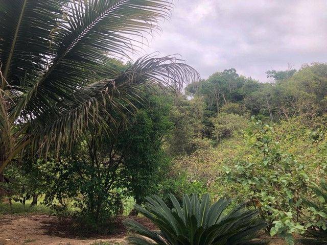 Chácara/Sítio à venda em Jardim Interlagos (Ponta Negra), Maricá - RJ