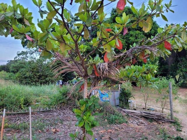 Terreno à venda em Boa Esperança, Rio Bonito - RJ