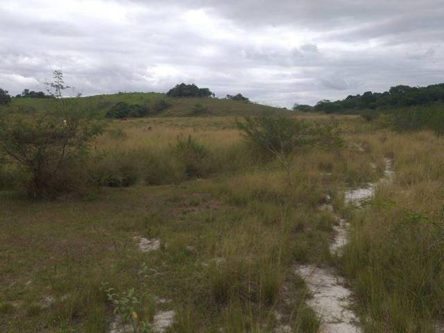 Fazenda à venda em Boa Esperança, Rio Bonito - RJ