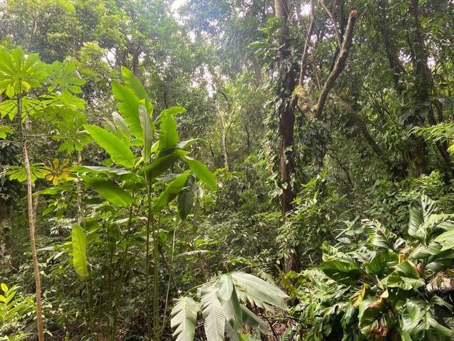 Terreno à venda em Bananal (Ponta Negra), Maricá - RJ
