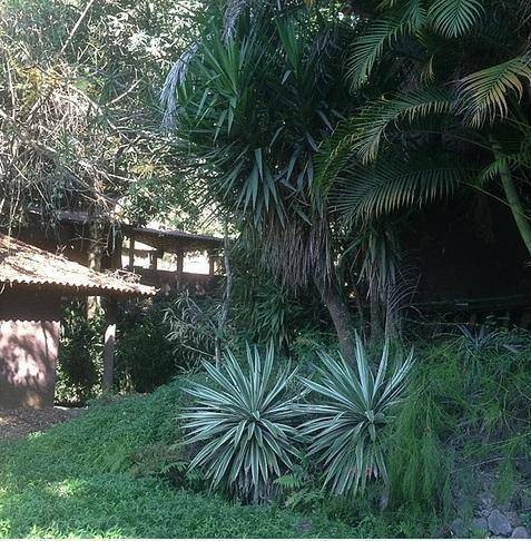 Chácara/Sítio à venda em Pendotiba, Niterói - RJ