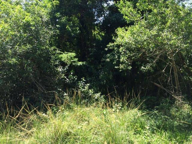 Terreno à venda em Várzea das Moças, Niterói - RJ