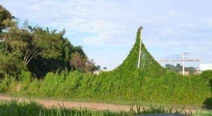 Terreno à venda em São Francisco, Niterói - RJ