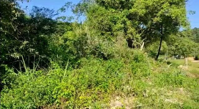 Terreno à venda em Itaocaia Valley, Maricá - RJ