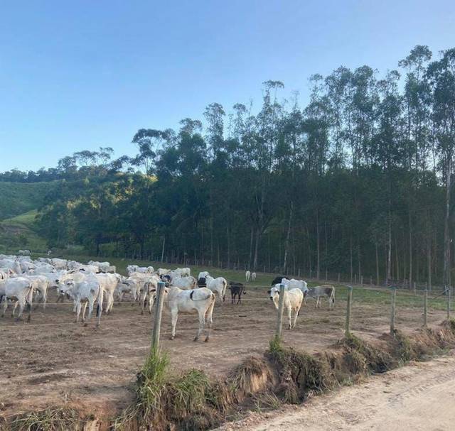 Fazenda à venda em Boa Esperança, Rio Bonito - RJ