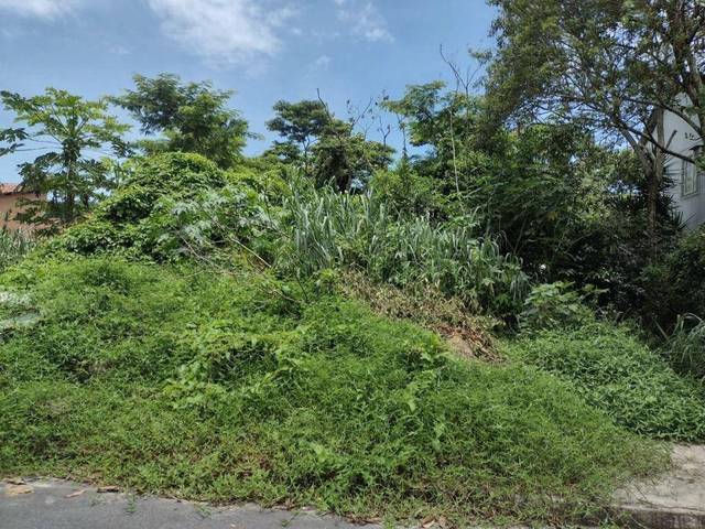 Terreno à venda em Serra Grande, Niterói - RJ