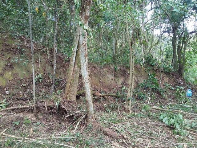Terreno à venda em Serra Grande, Niterói - RJ